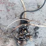 Фотодокумент 812