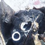 Фотодокумент 811