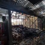 Фотодокумент 915