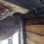 Фотодокумент 966